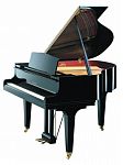 Kawai GE-20G M/PEP ���������� �����